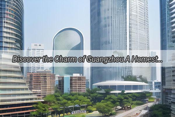 Discover the Charm of Guangzhou A Homestay Experience Like No Other